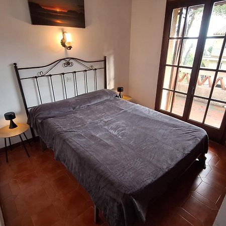 Torre Vella 165 Daire L'Estartit Dış mekan fotoğraf
